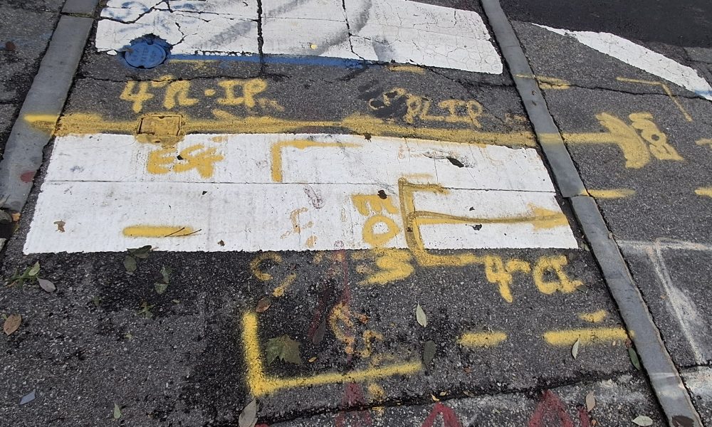 Law, Written in Spray Paint